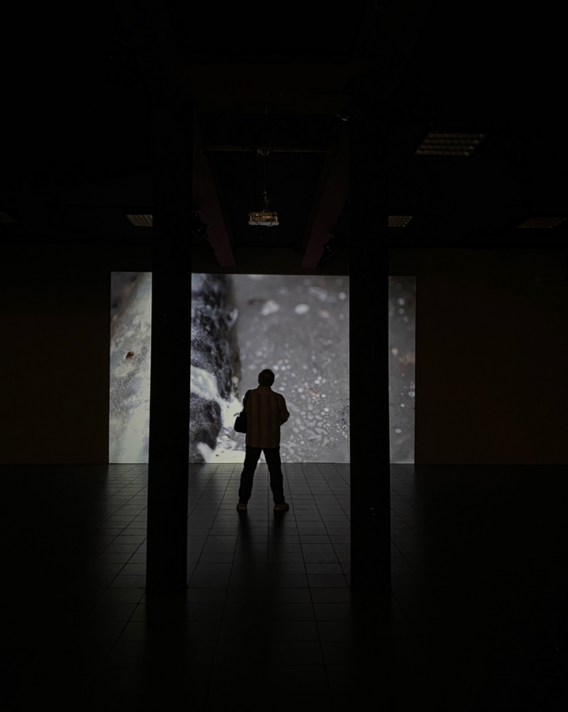 Esposizione video arte dal titolo 'Not Primordial Soupt', rappresentazione elementi che man mano si svelano in un ambiente putrefatto ostile alla vita che si contrappone al brodo primordiale, ossia un ambiente che da la vita, simbolo dell'inquinamento.