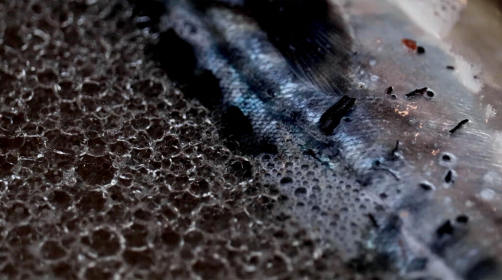 Video arte dal titolo 'Not Primordial Soup', rappresentazione elementi che man mano si svelano in un ambiente putrefatto ostile alla vita che si contrappone al brodo primordiale, ossia un ambiente che da la vita, simbolo dell'inquinamento.